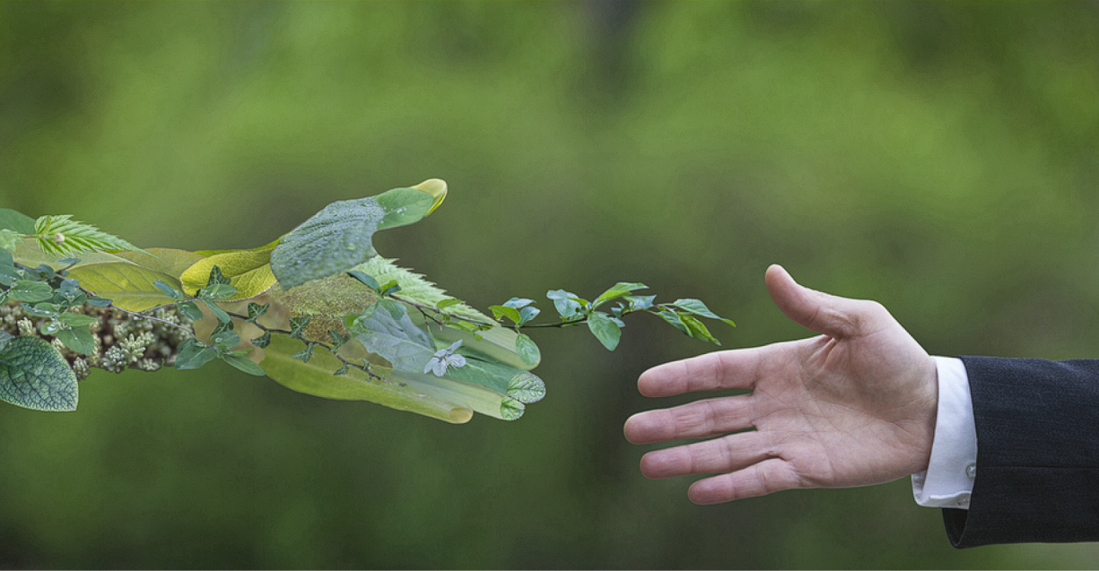 Enhancing Access to Multilateral Climate Funds | Saurabh Trivedi